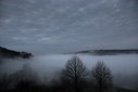 Nebelmorgen_1.jpg